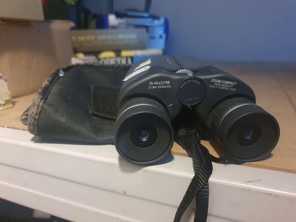 Lot 111: Binoculars zoom compact