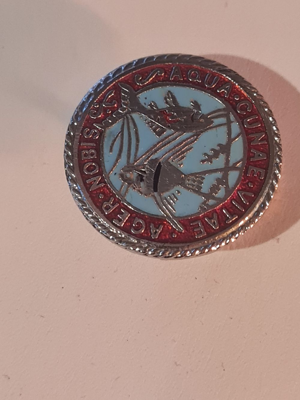 Lot 187: Vintage badge