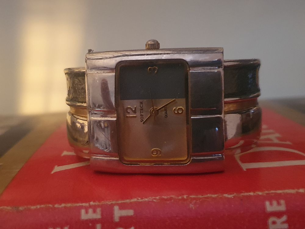 Lot 202: Softtech watch