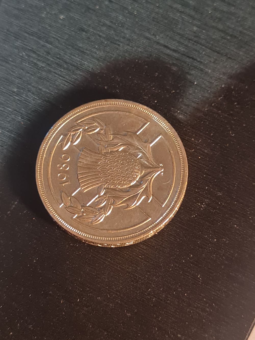 Lot 365: Vintage £2 coin