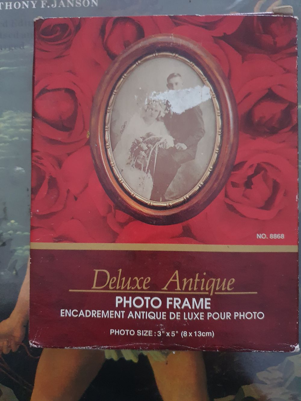 Lot 439: Deluxe antique frame