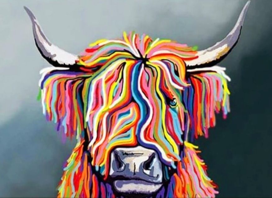 Lot 303: Highland cow High Gloss print in cardboard sleeve