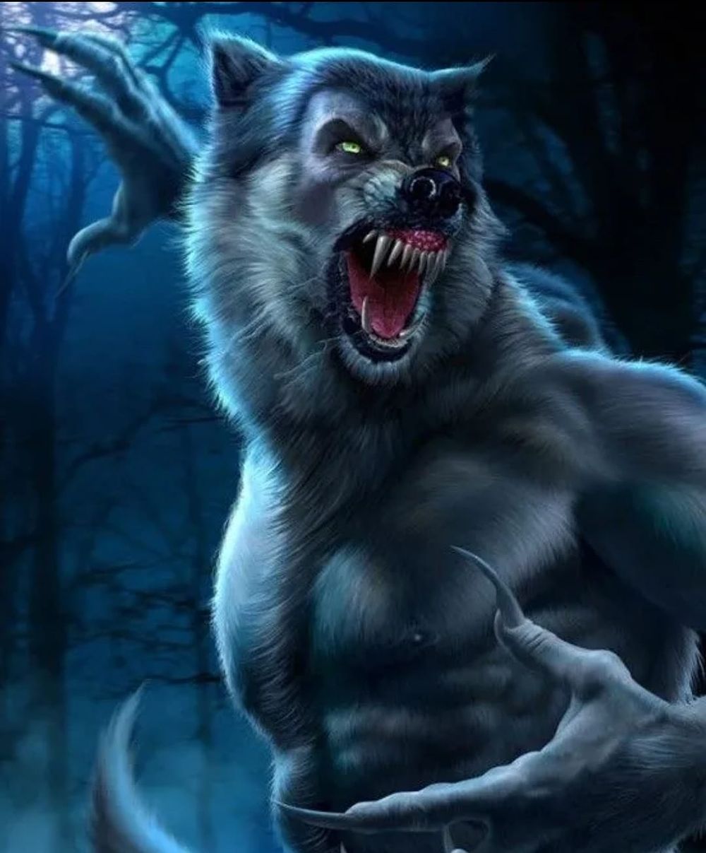 Lot 327: Werewolf High Gloss Print With Cardboard Backing sleeve