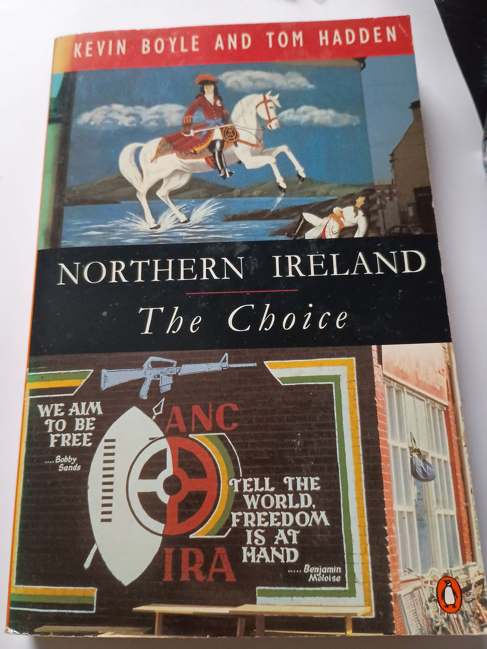 Lot 25a: Northern Ireland The Choice Book