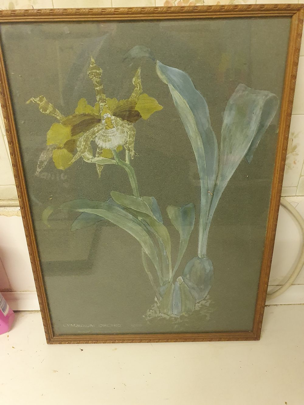 Lot 212: Vintage cymbidium orchid