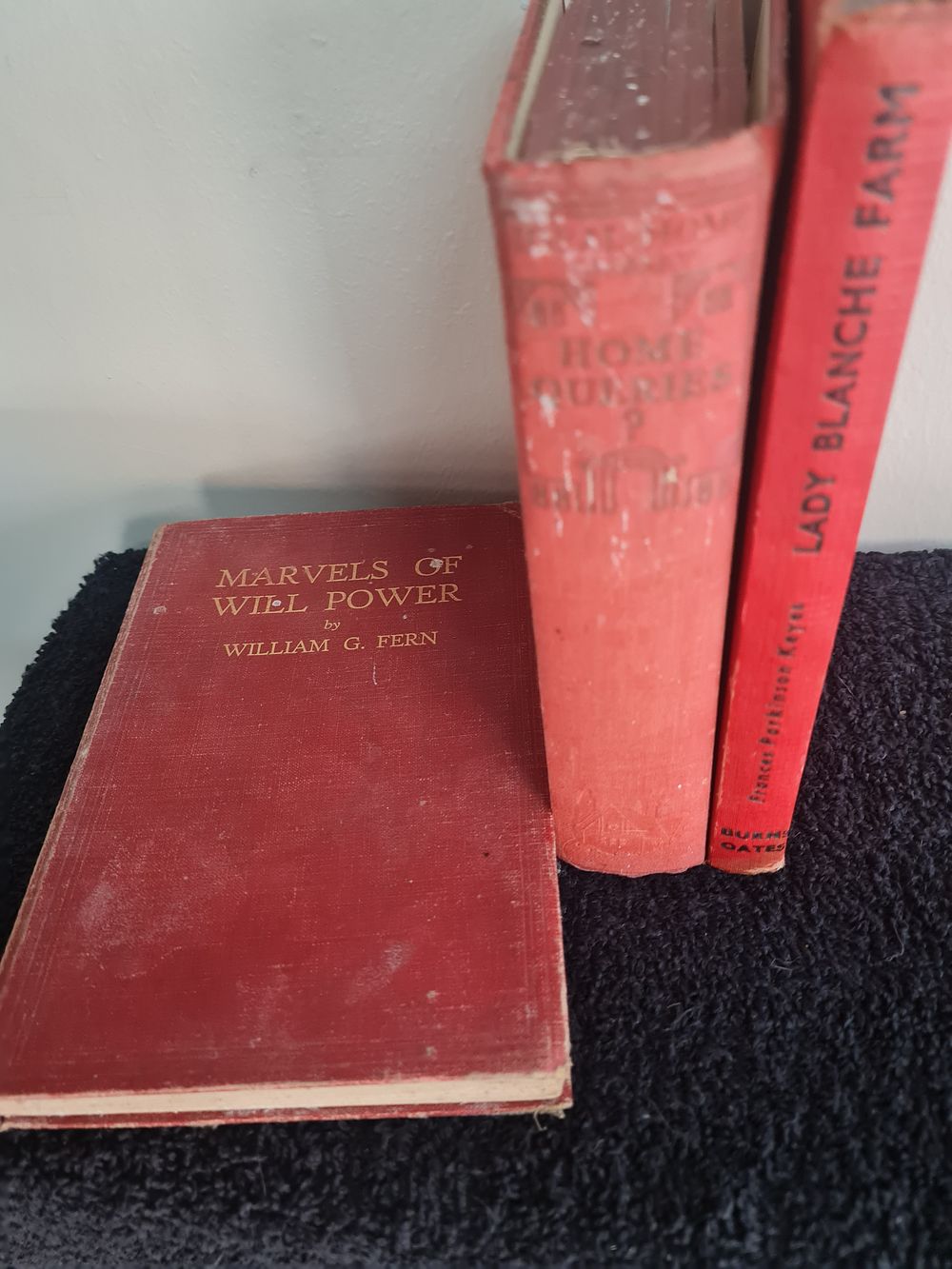 Lot 123: 3 vintage books