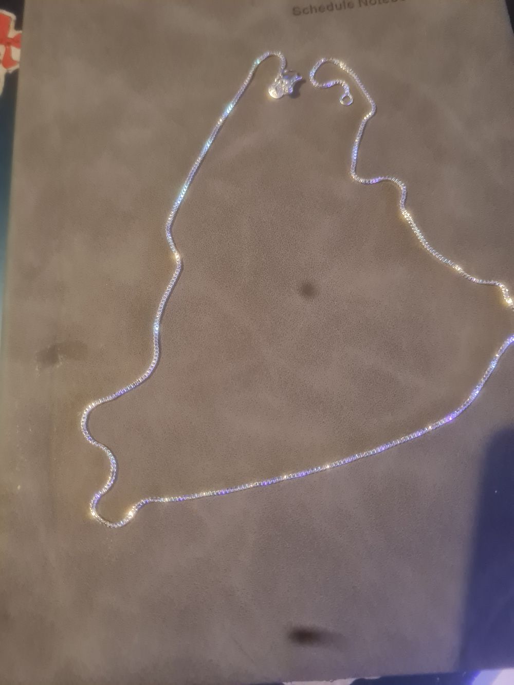 Lot 262: Long s925 chain
