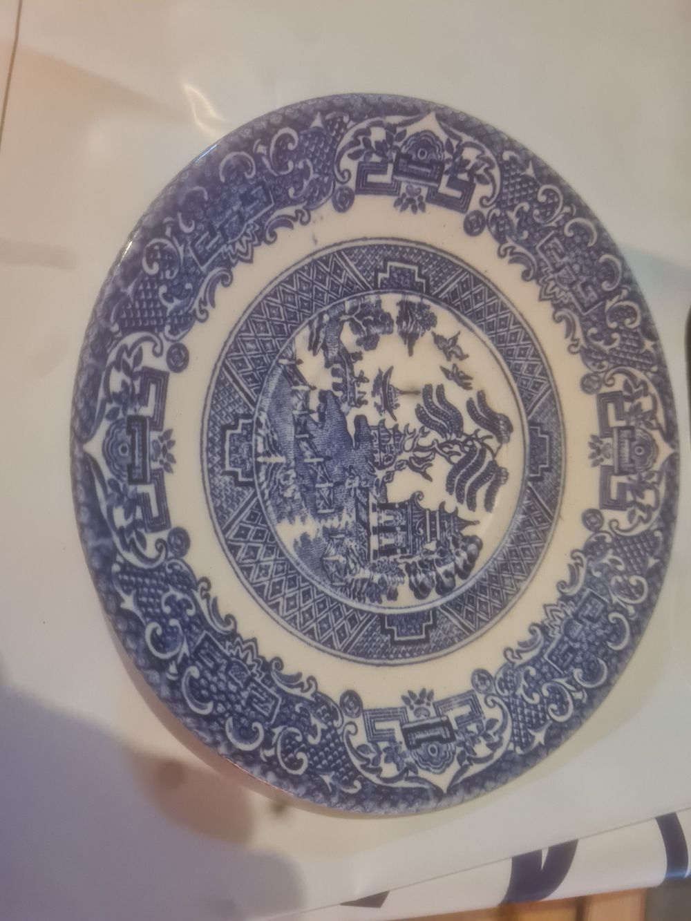 Lot 289: Vintage collecters plate