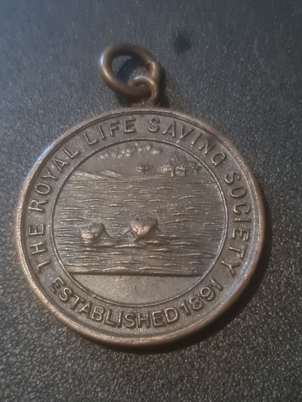 Lot 240: Royal life saving society medal