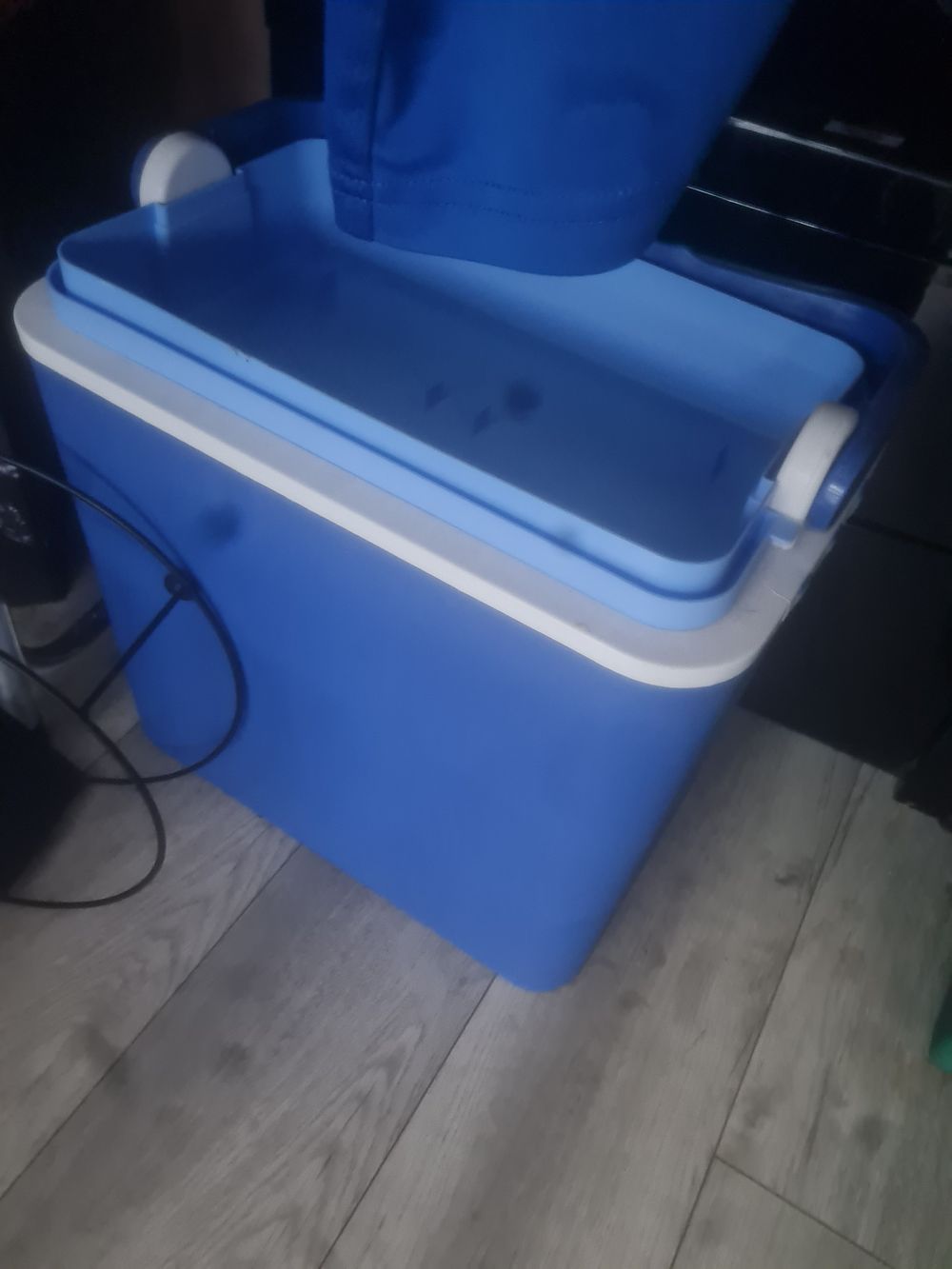 Lot 245: Storage cooler