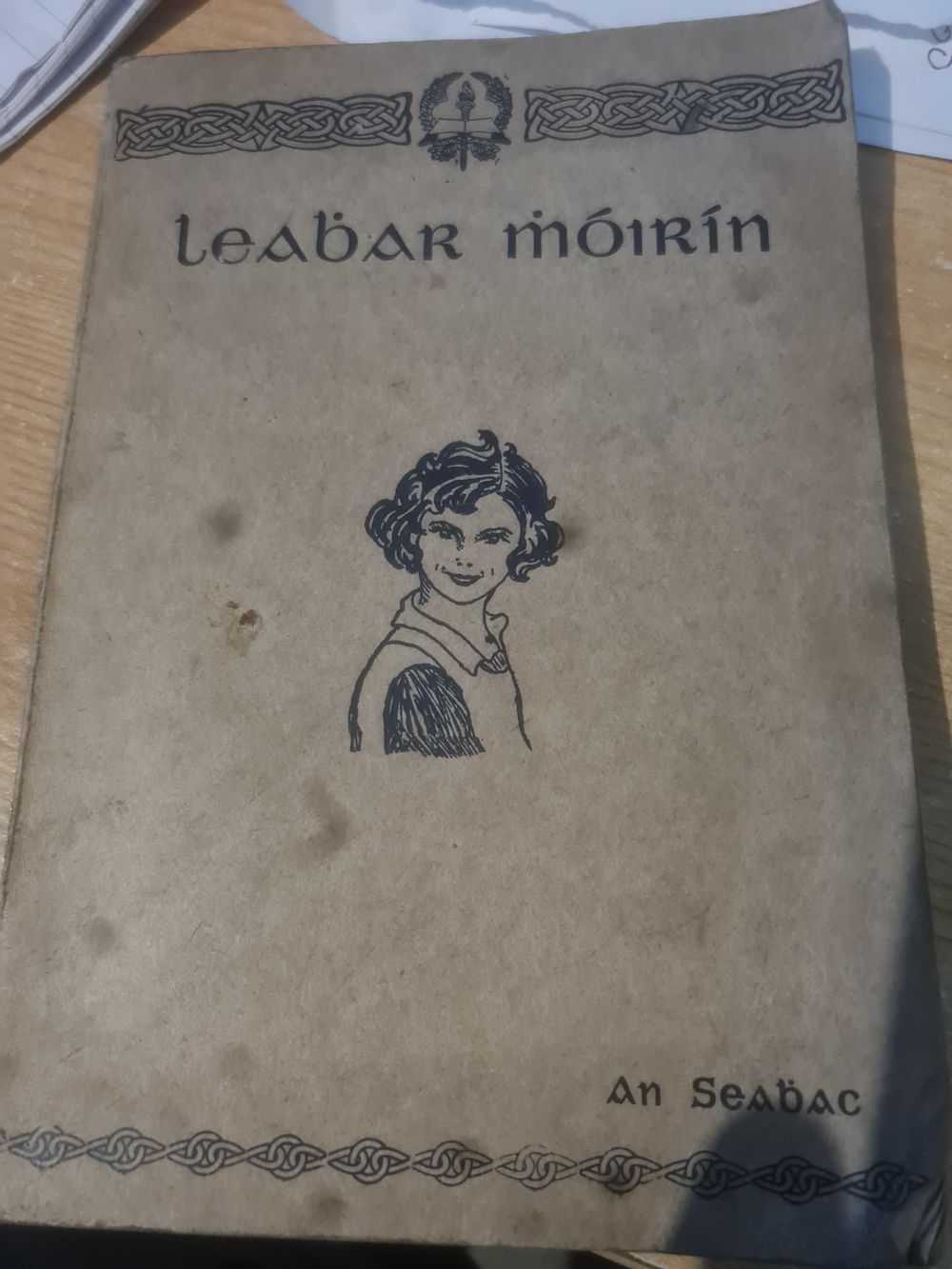 Lot 172: Vintage irish book