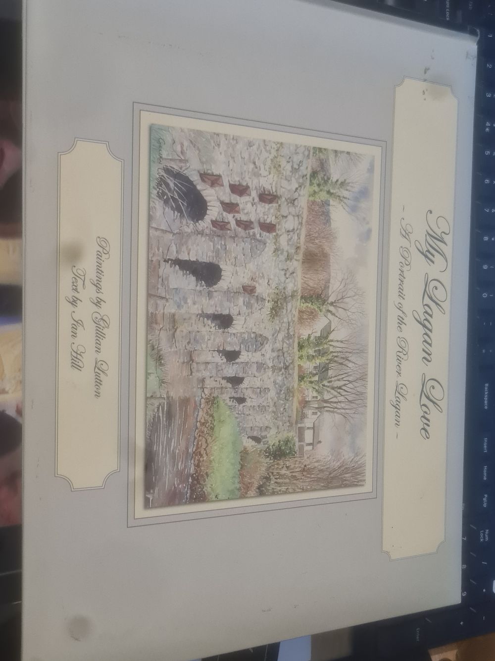 Lot 183: My lagan love