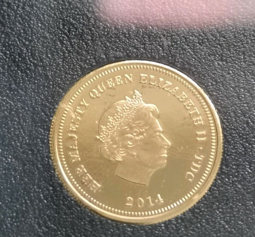 Lot 224: 9ct gold coin