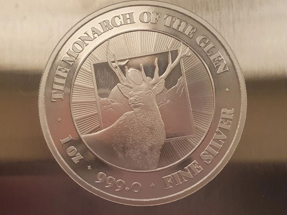 Lot 159: Silver 1oz coin
