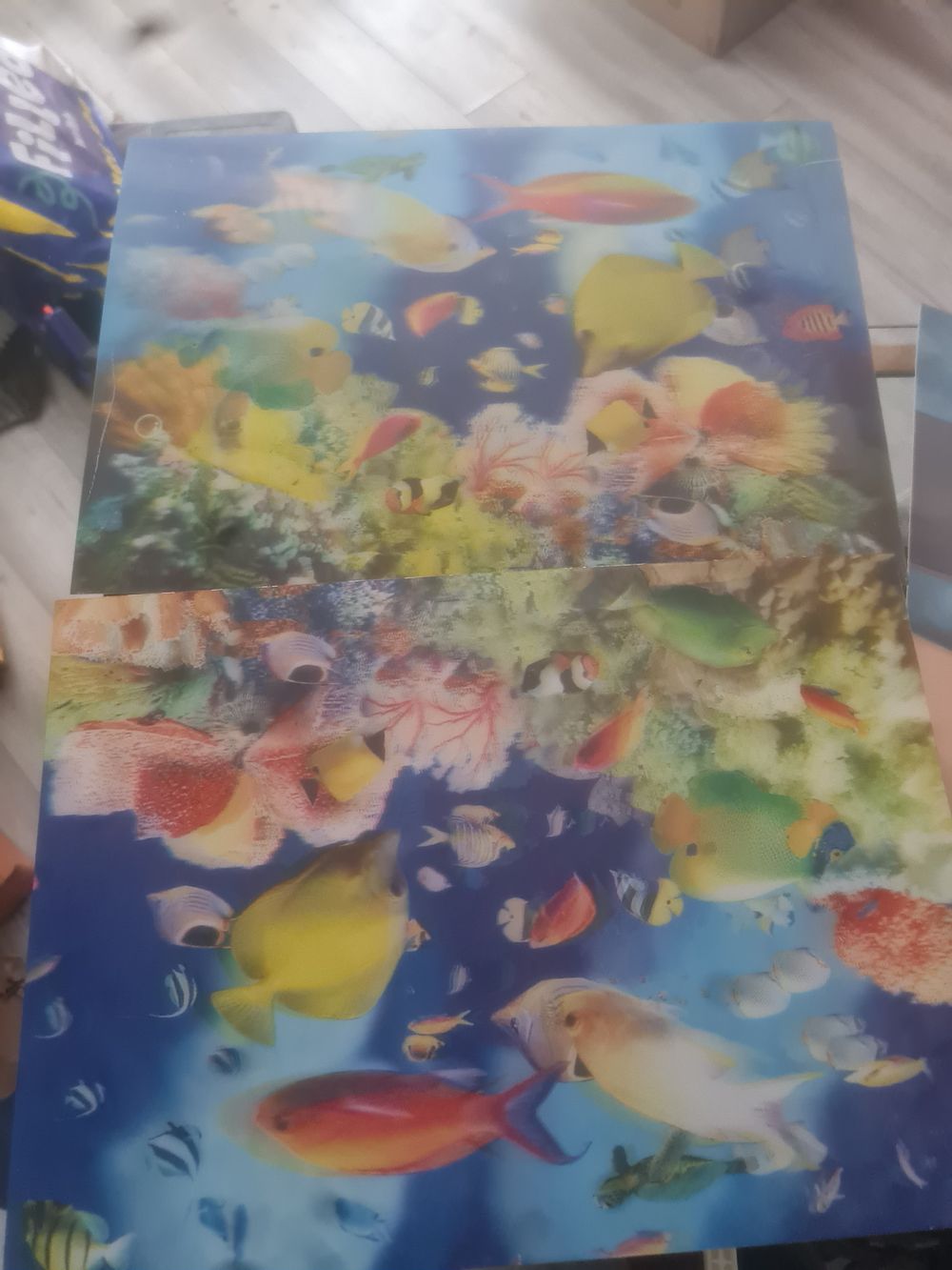 Lot 359: 2 3d fish pictures