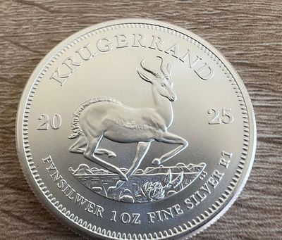 Silver 1oz coin