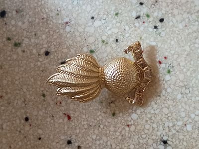 Police/military badge