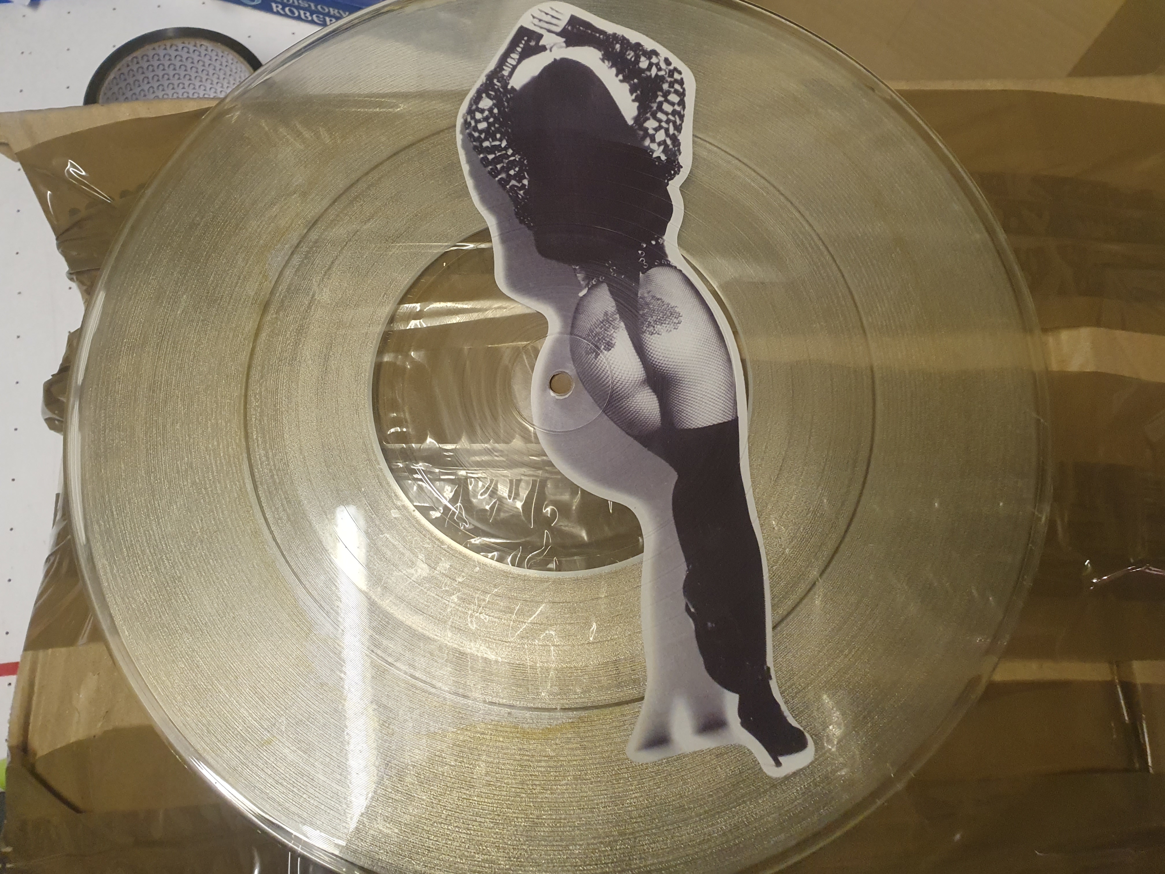 Cher pictdisc vinyl