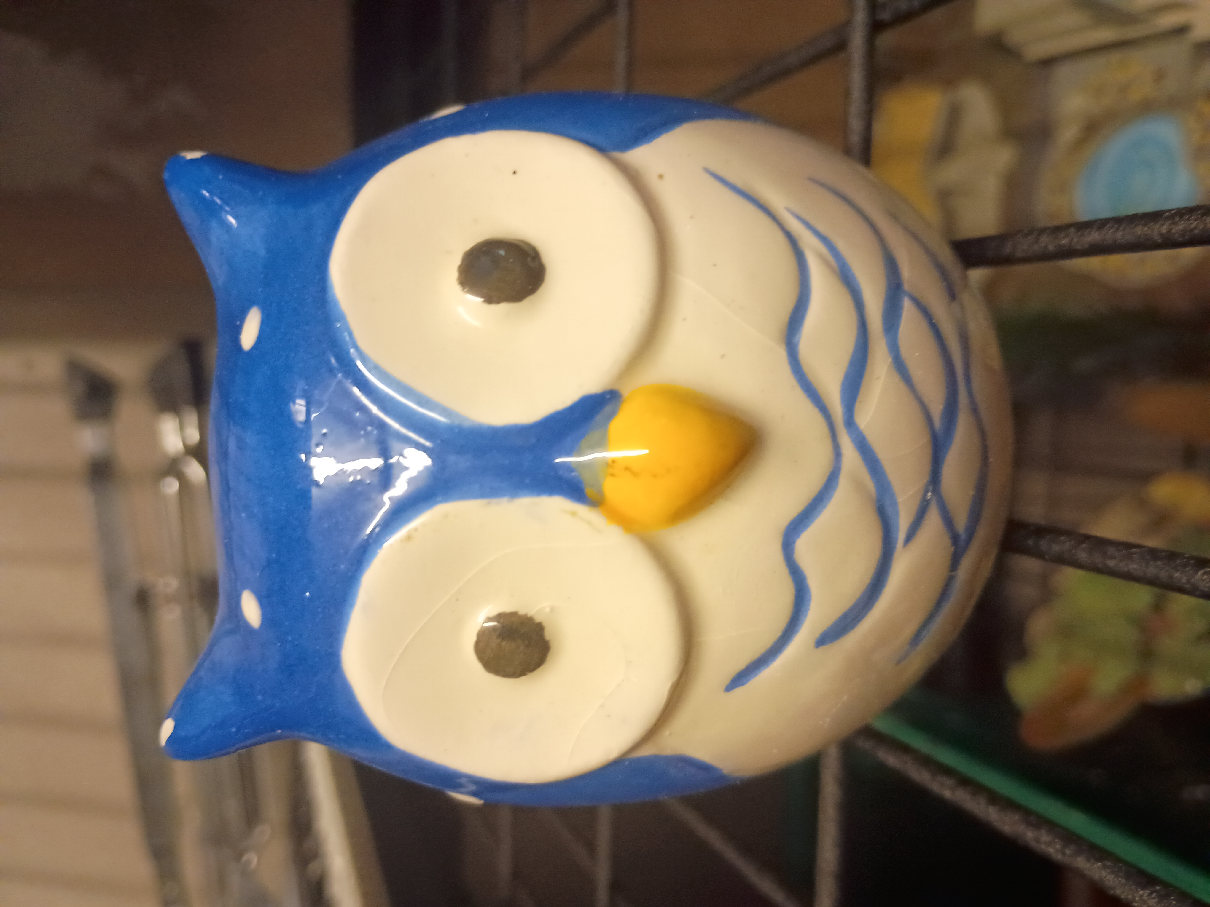 Owl money box