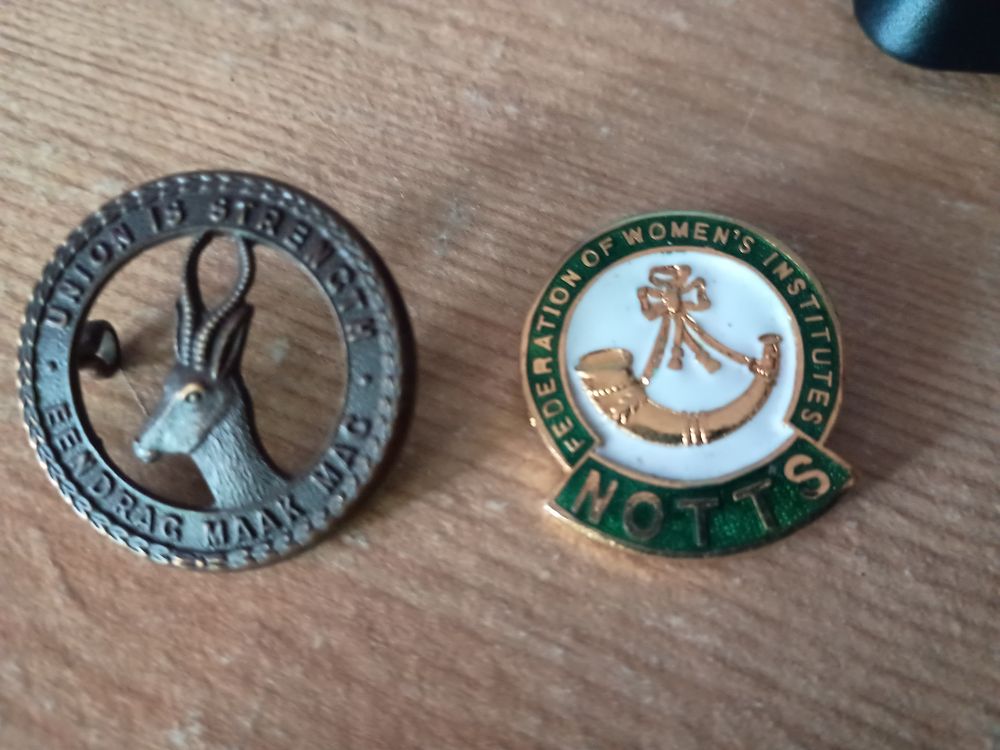 Lot 258: 2 vintage badges