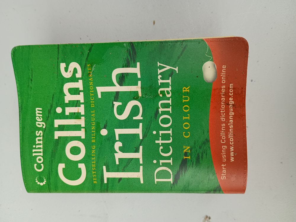 Lot 225: Irish dictionary