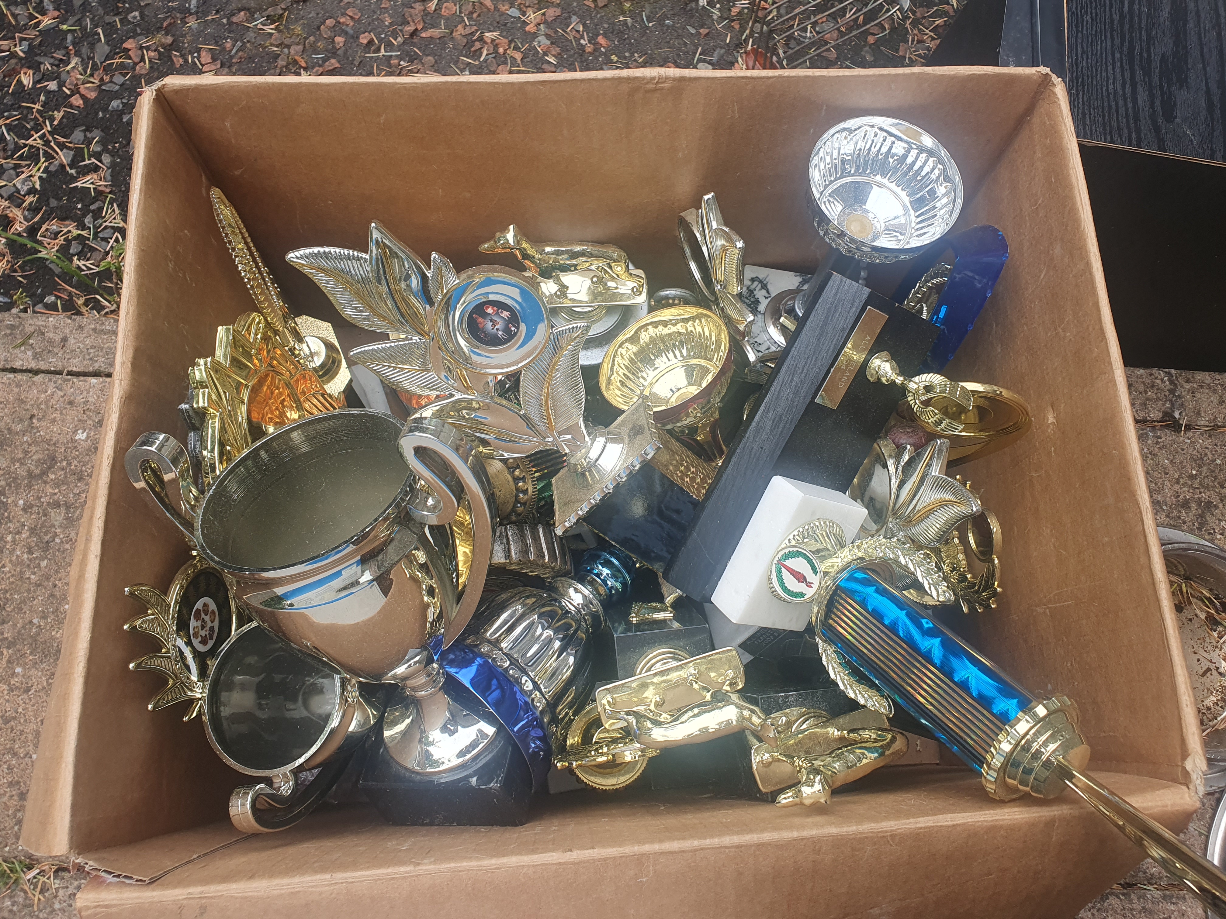Huge lot of thropies