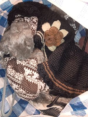 Lot of Knitted/crochet Hats etc