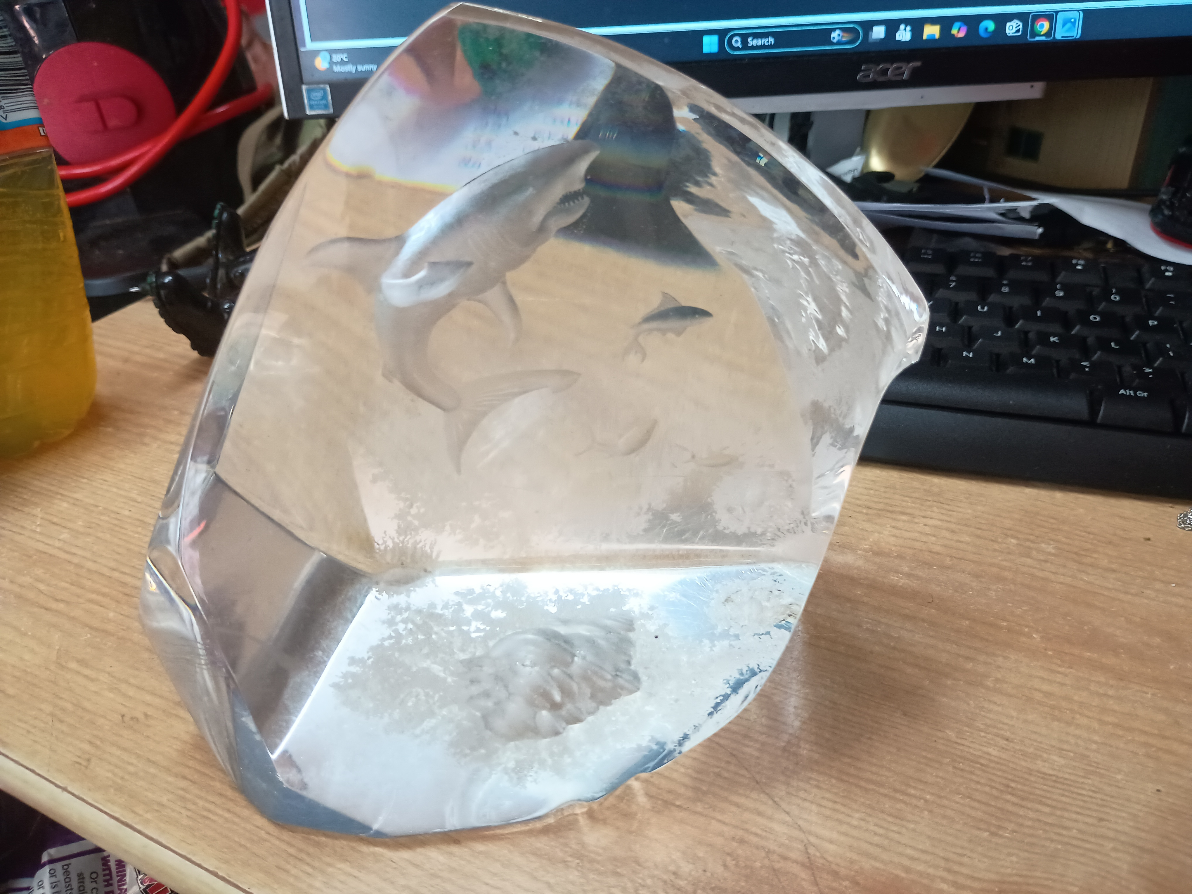Very large shark glass peice