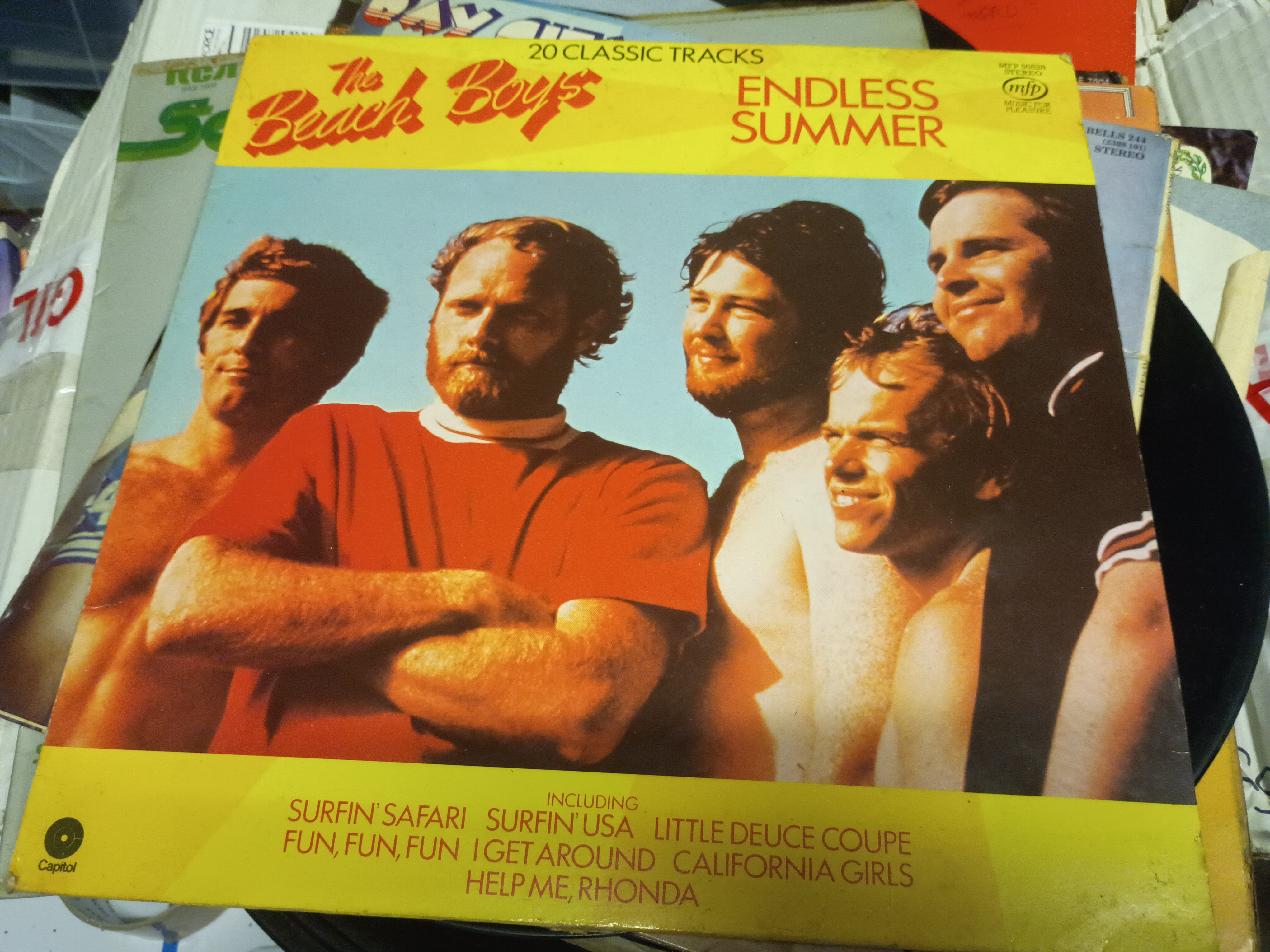 Beach boys endless summer