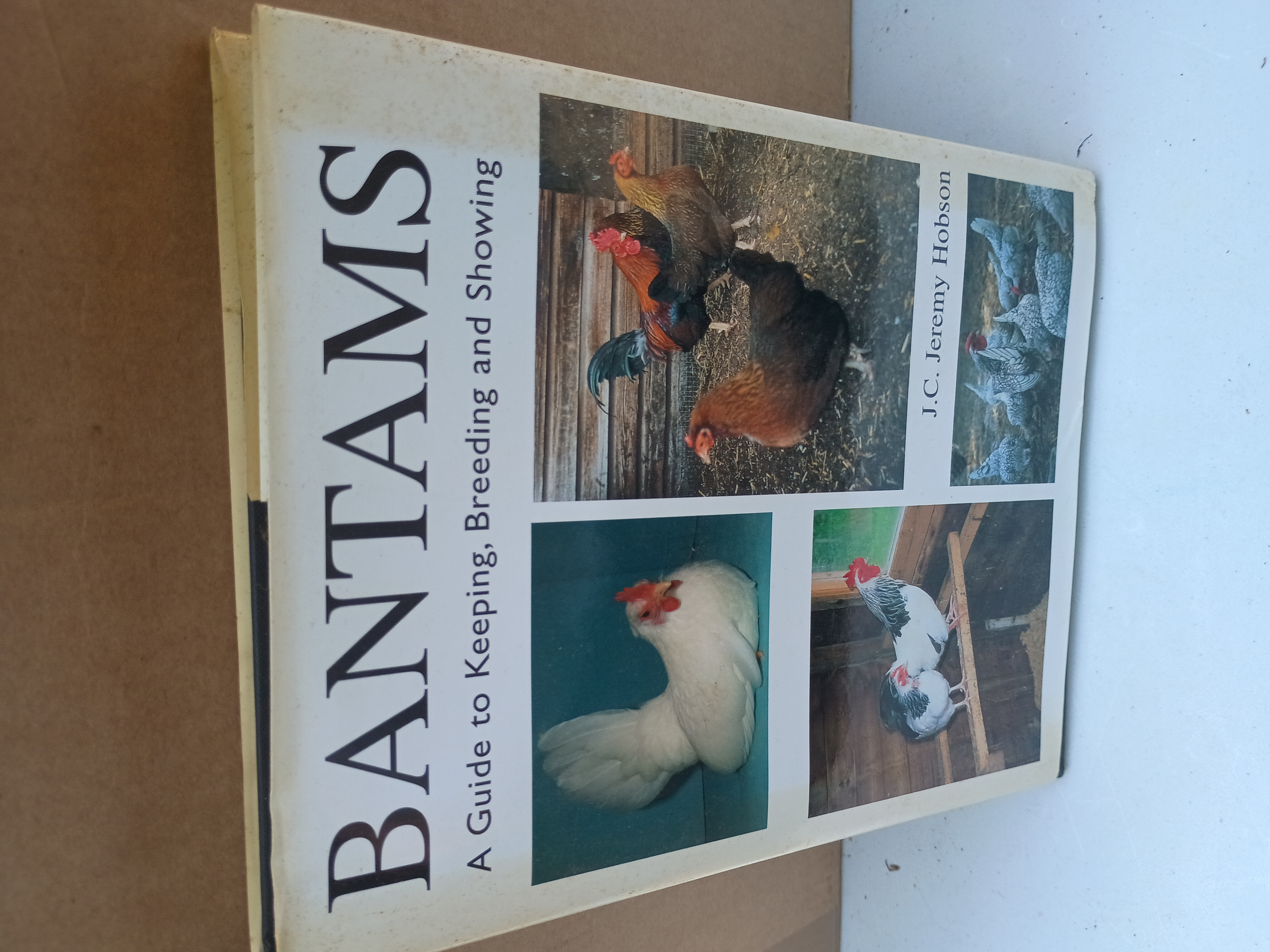 Bantams bid book