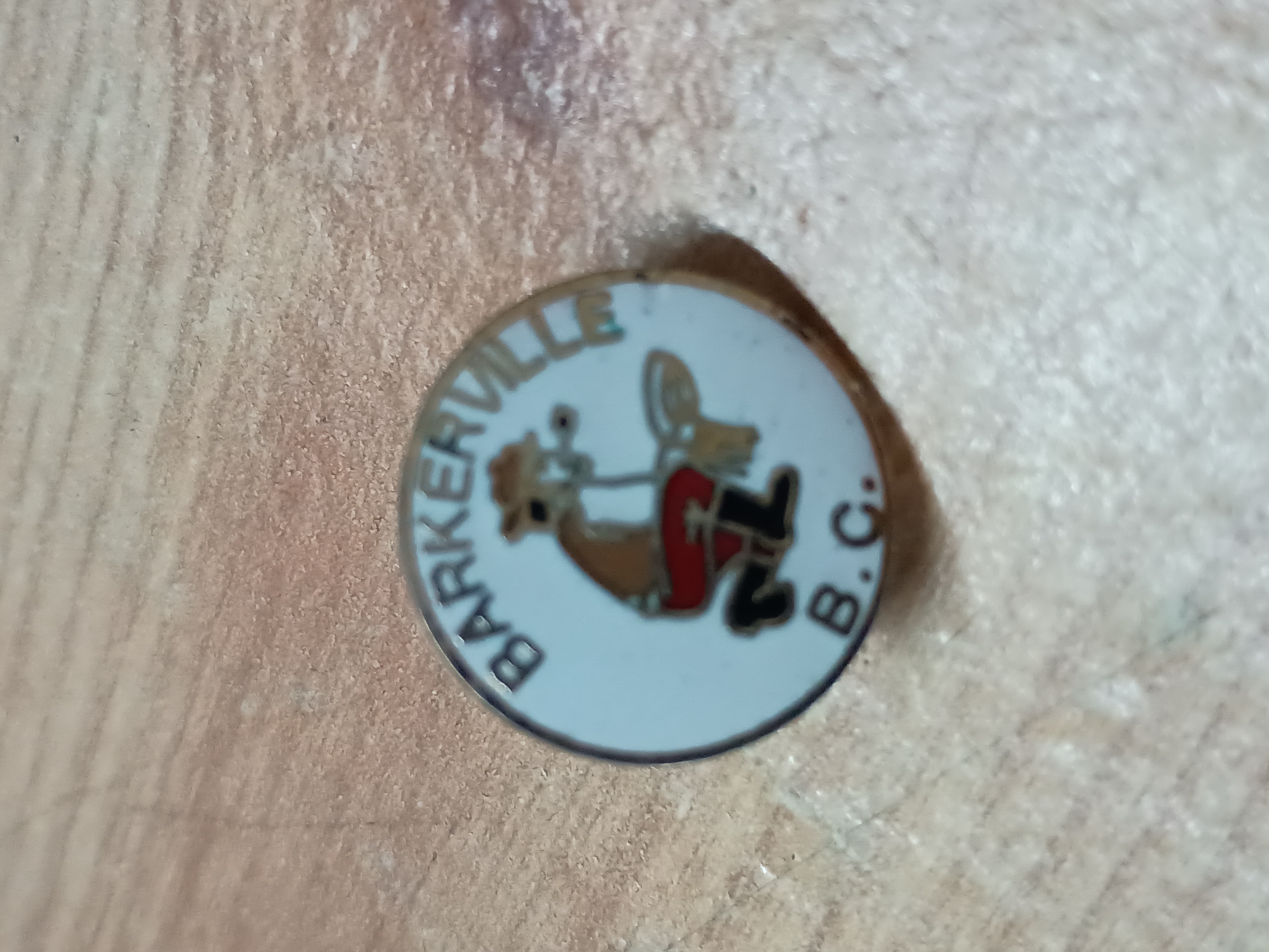 Vintage badge
