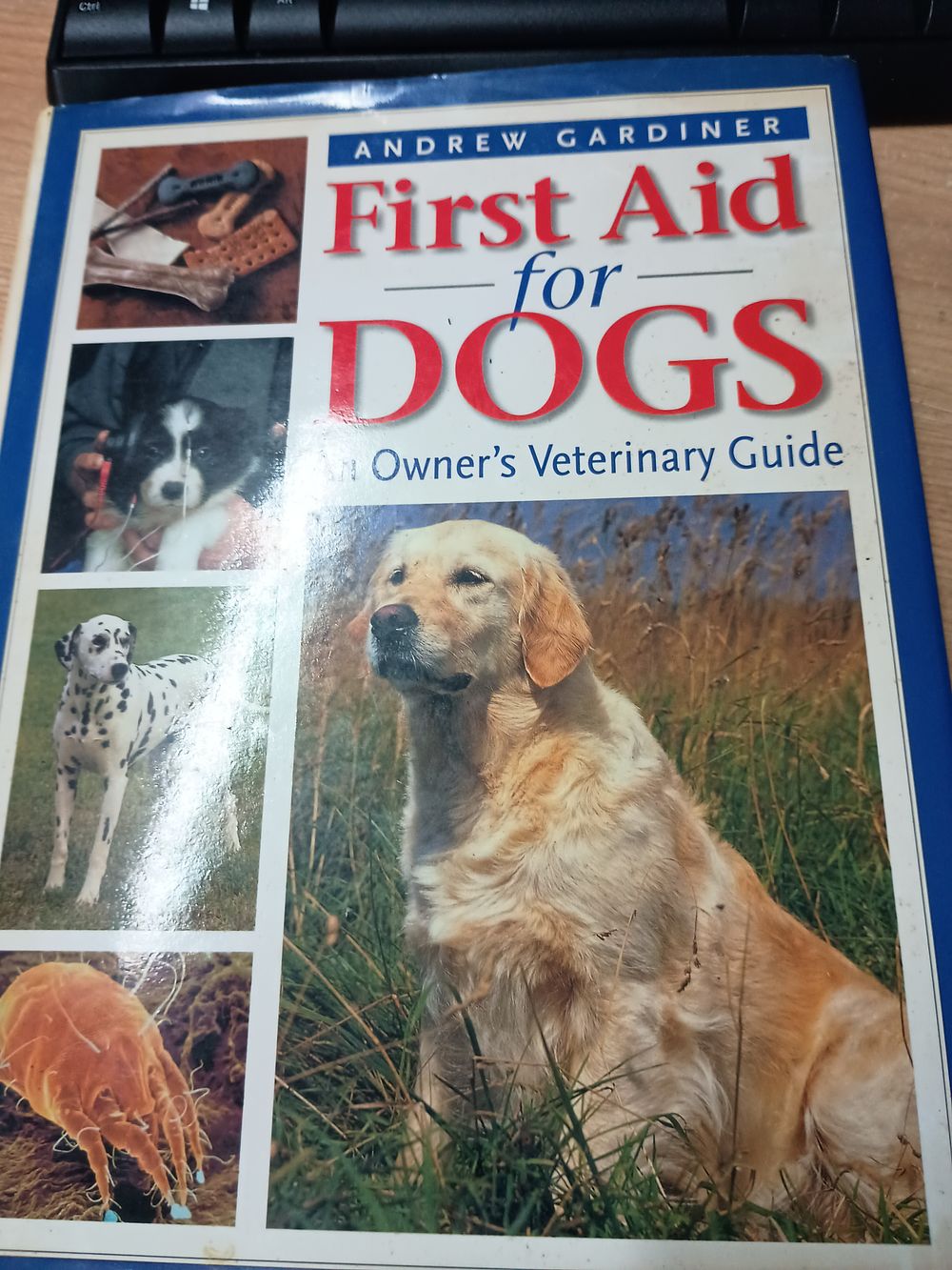 Lot 351:
