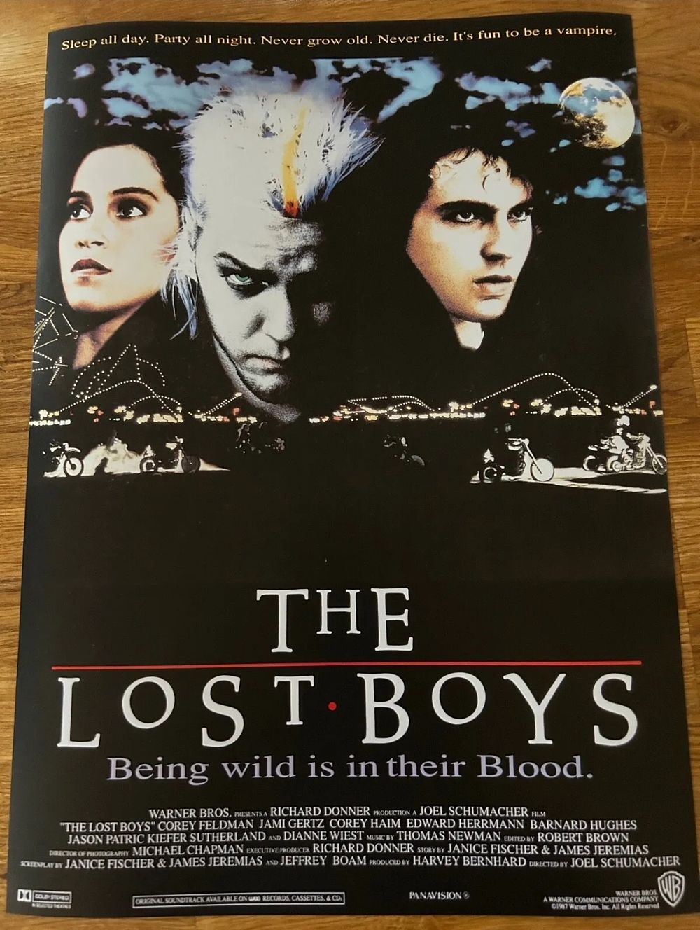 Lot 260: Large movie poster