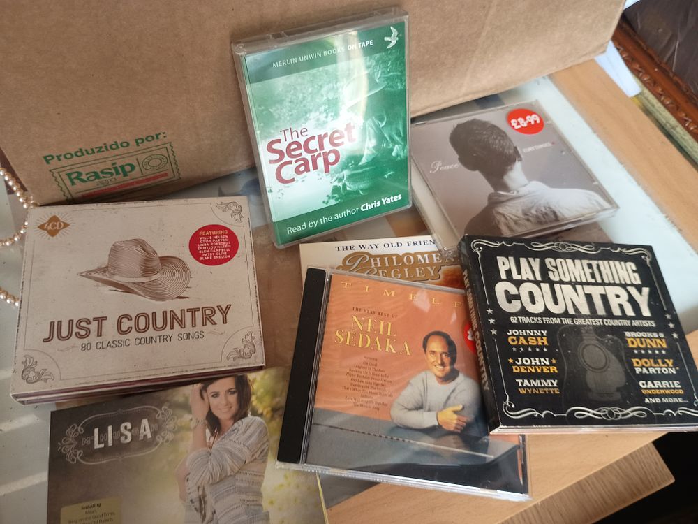 Lot 240: Cd music lot
