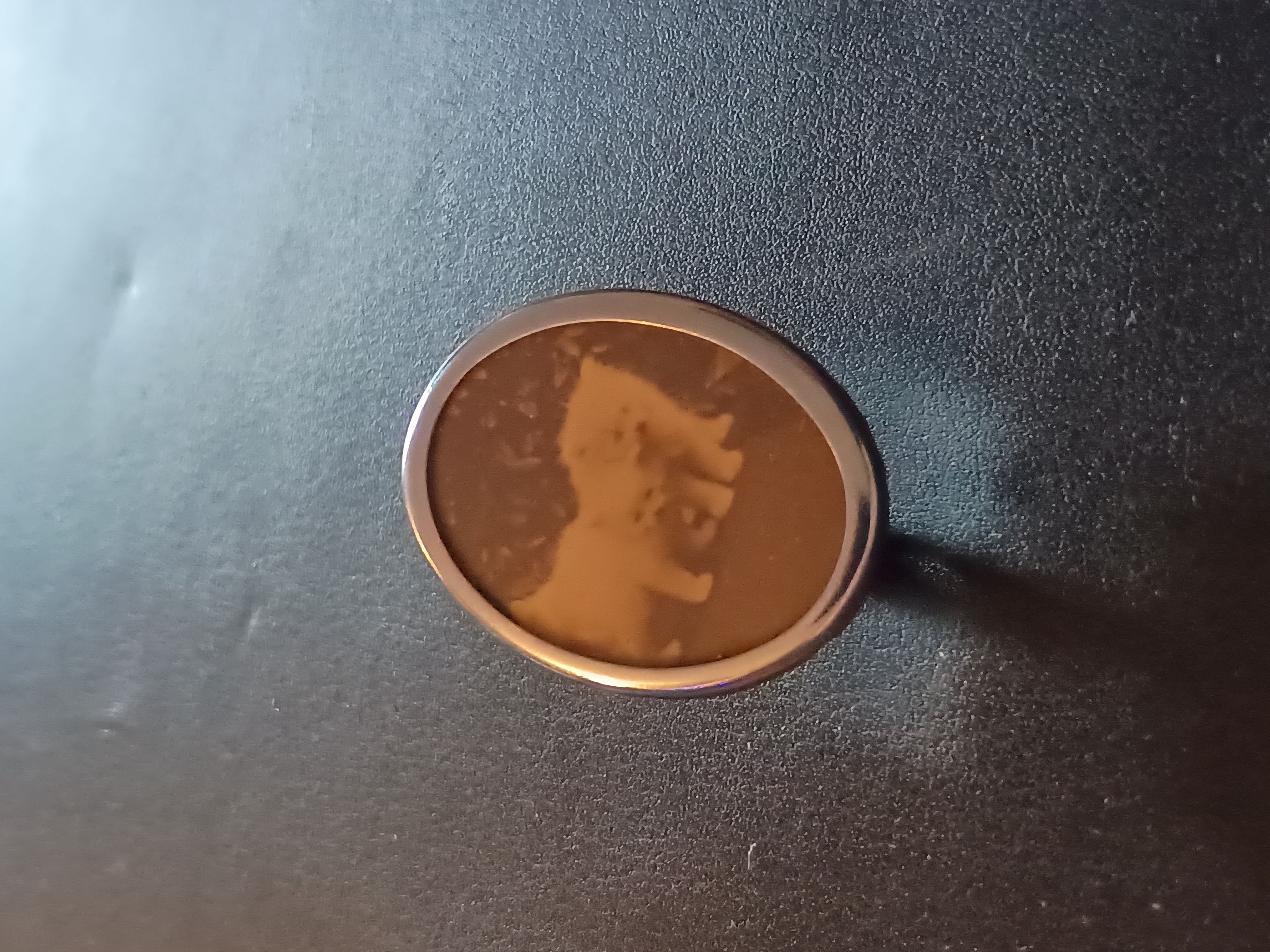 Vintage Pet picture Broach