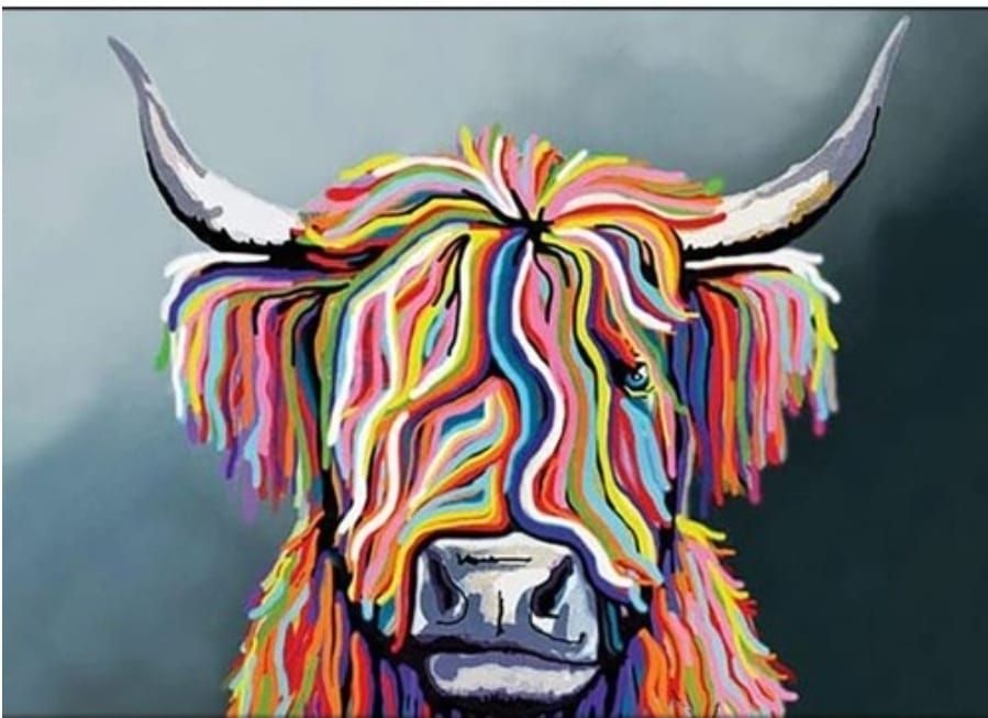 Lot 223: Highland cow High gloss print in cardboard sleeve