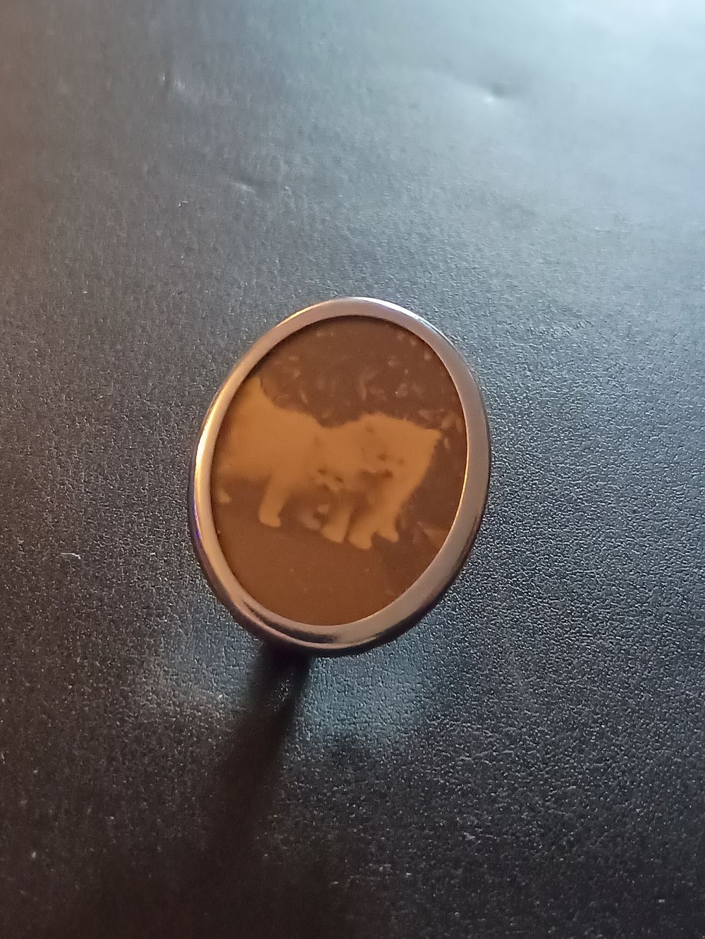 Lot 52: Vintage Pet picture Broach
