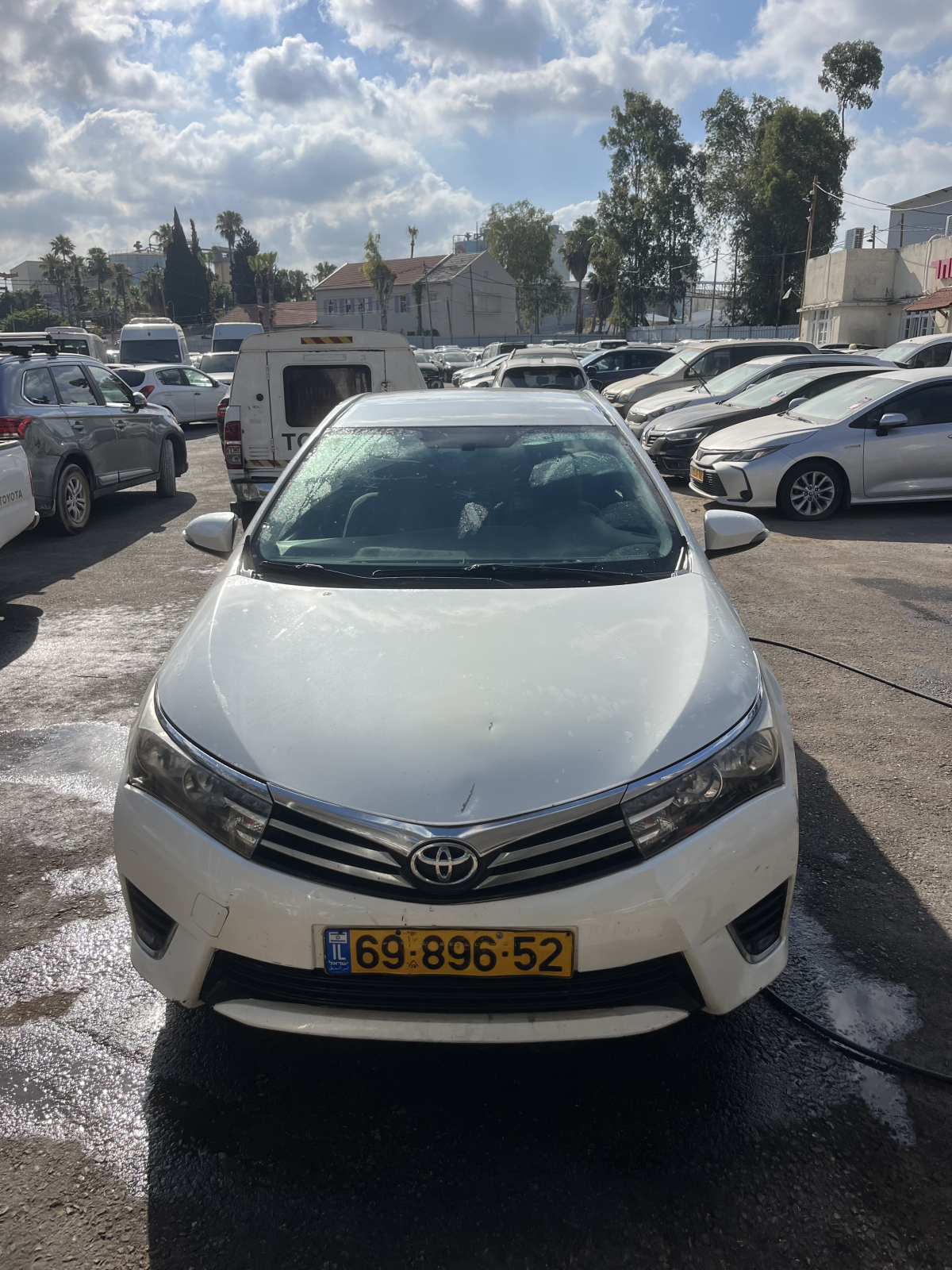 טויוטה קורולה