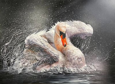 Талгат Бокоев - Лунный свет. Талгат Мелисович Бокоев (17.07.1987) 
Член союза художников Кыргызкой 