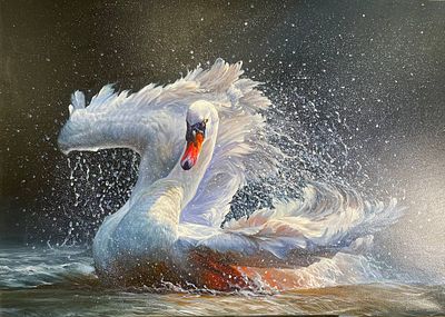 Талагат Бокоев - Лебедь, 2023. Талгат Мелисович Бокоев (17.07.1987) 
Член союза художников 