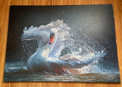 Талгат Бокоев - Лебедь, 110х80 см. Холст, масло. Талгат Мелисович Бокоев (17.07.1987) 
Член союза 