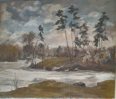 Татьяна Дмитриева - Серебряный бор , х/м, 50х60