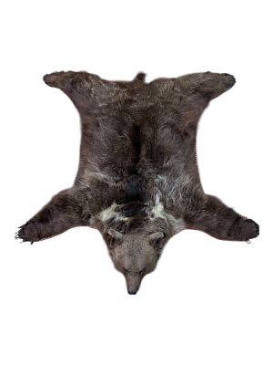ШКУРА МЕДВЕДЯ. Перед вами уникальный лот, способный вызвать восторг и восхищение даже самого 