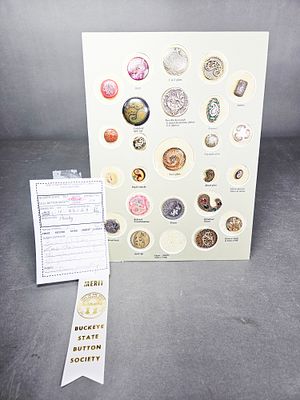 A Collection of Antique and Vintage Paisley Motif Buttons. This lot consists of a collection of 