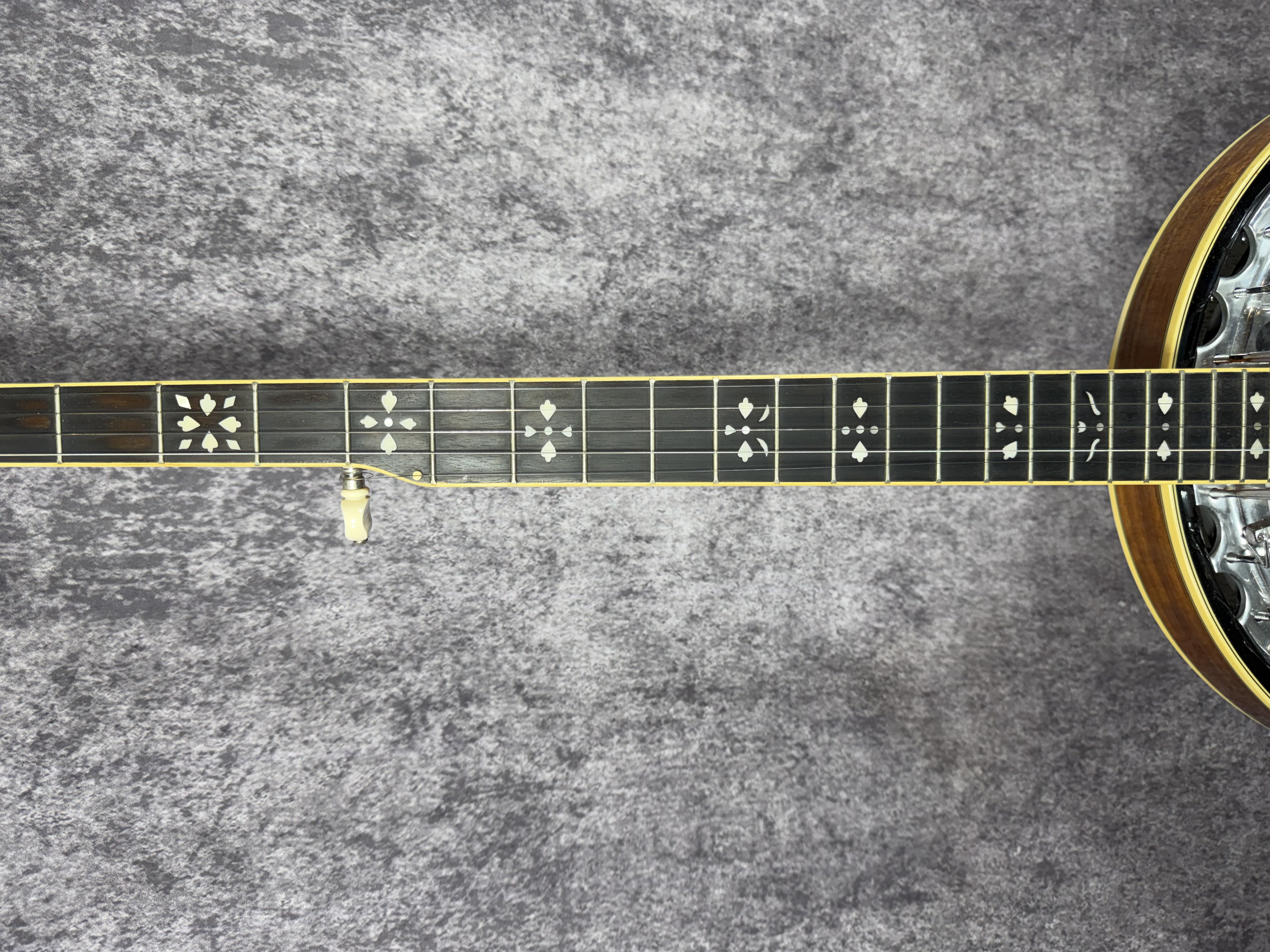 Oscar Schmidt OB-5 5-String Resonator Banjo with Gig Bag and Accessories