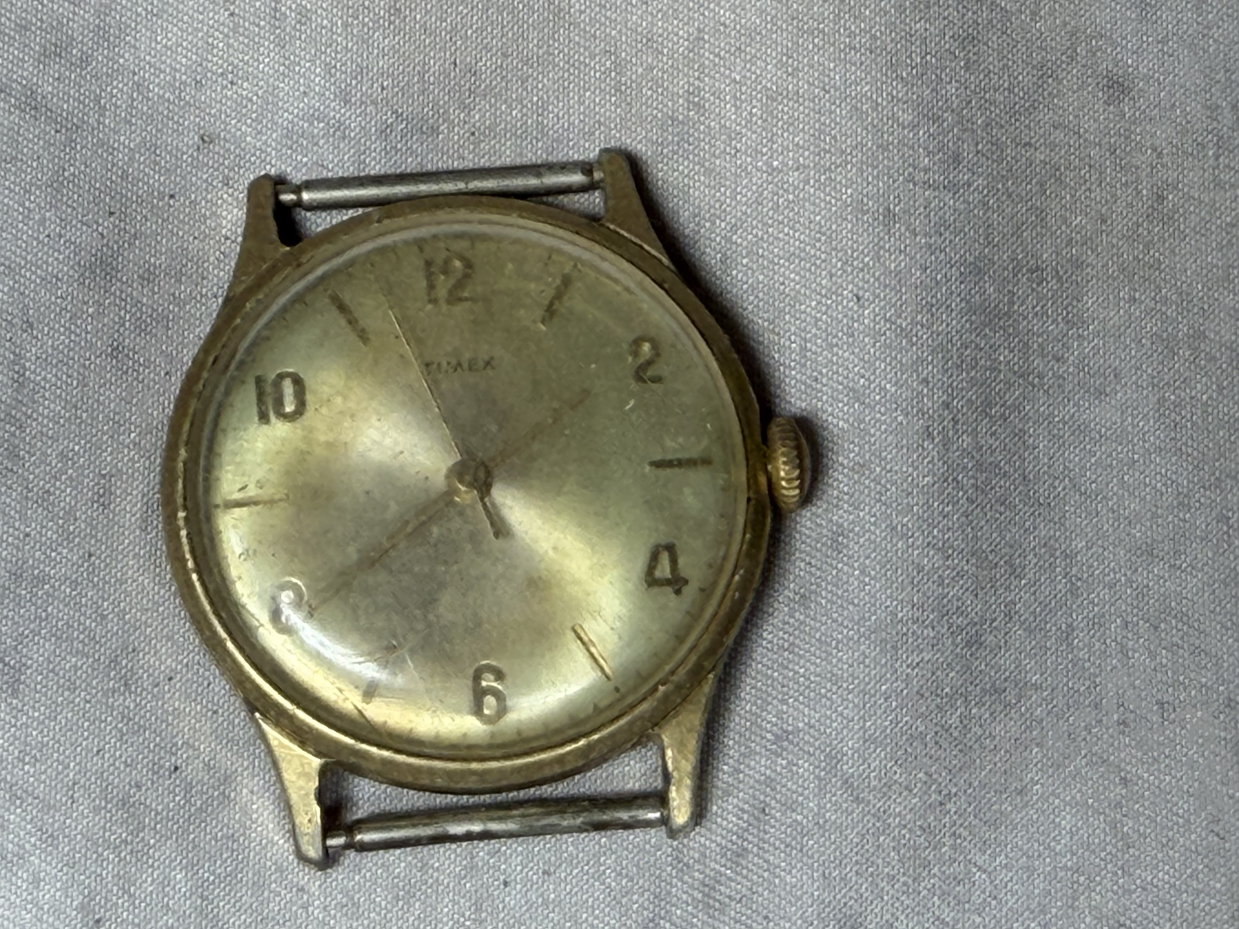 A Collection of 12 Vintage and Contemporary Wristwatches Predominantly by Timex