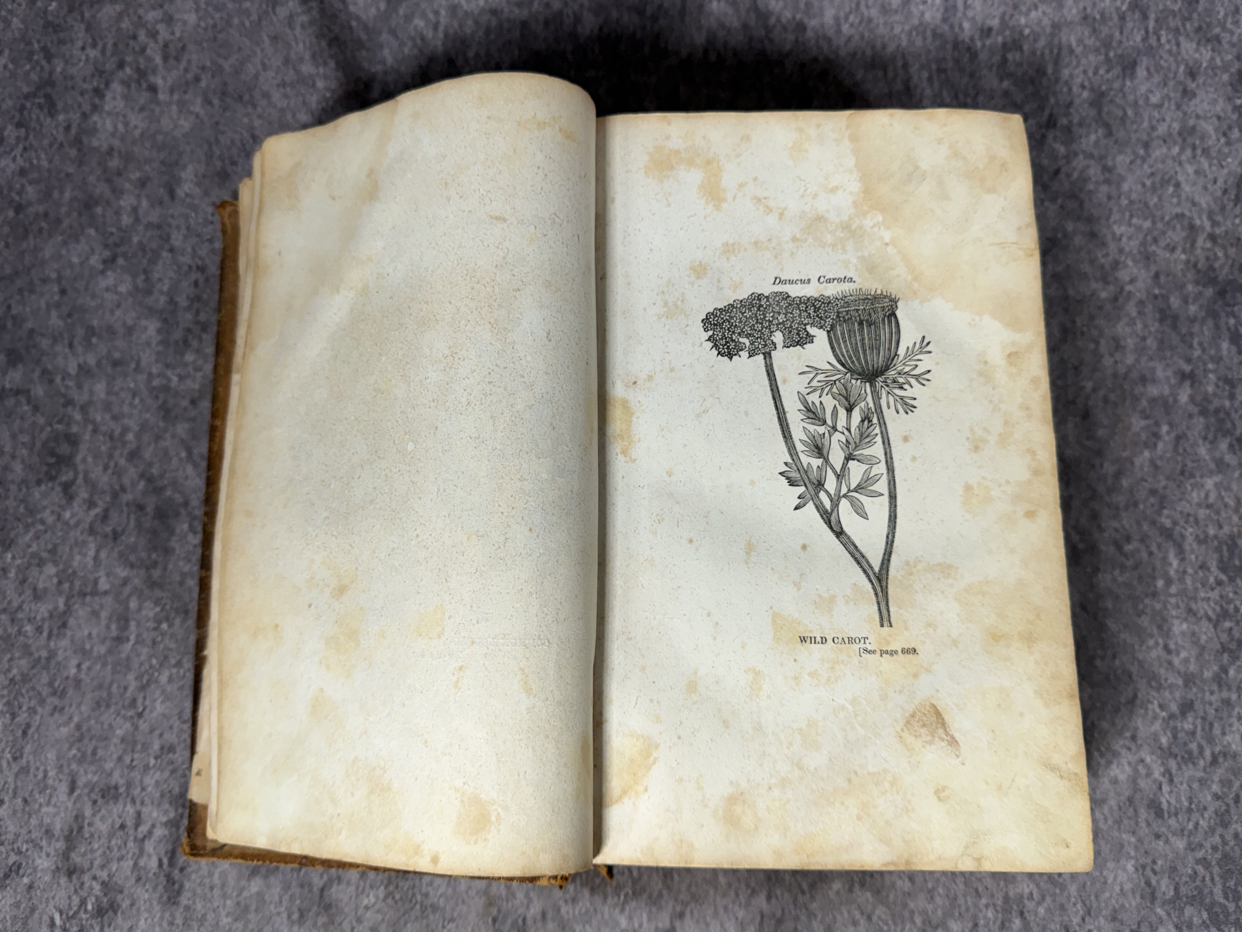 Buchan, William. A Treatise on the Prevention and Cure of Diseases. J. A. James, 1843. Revised Edition.