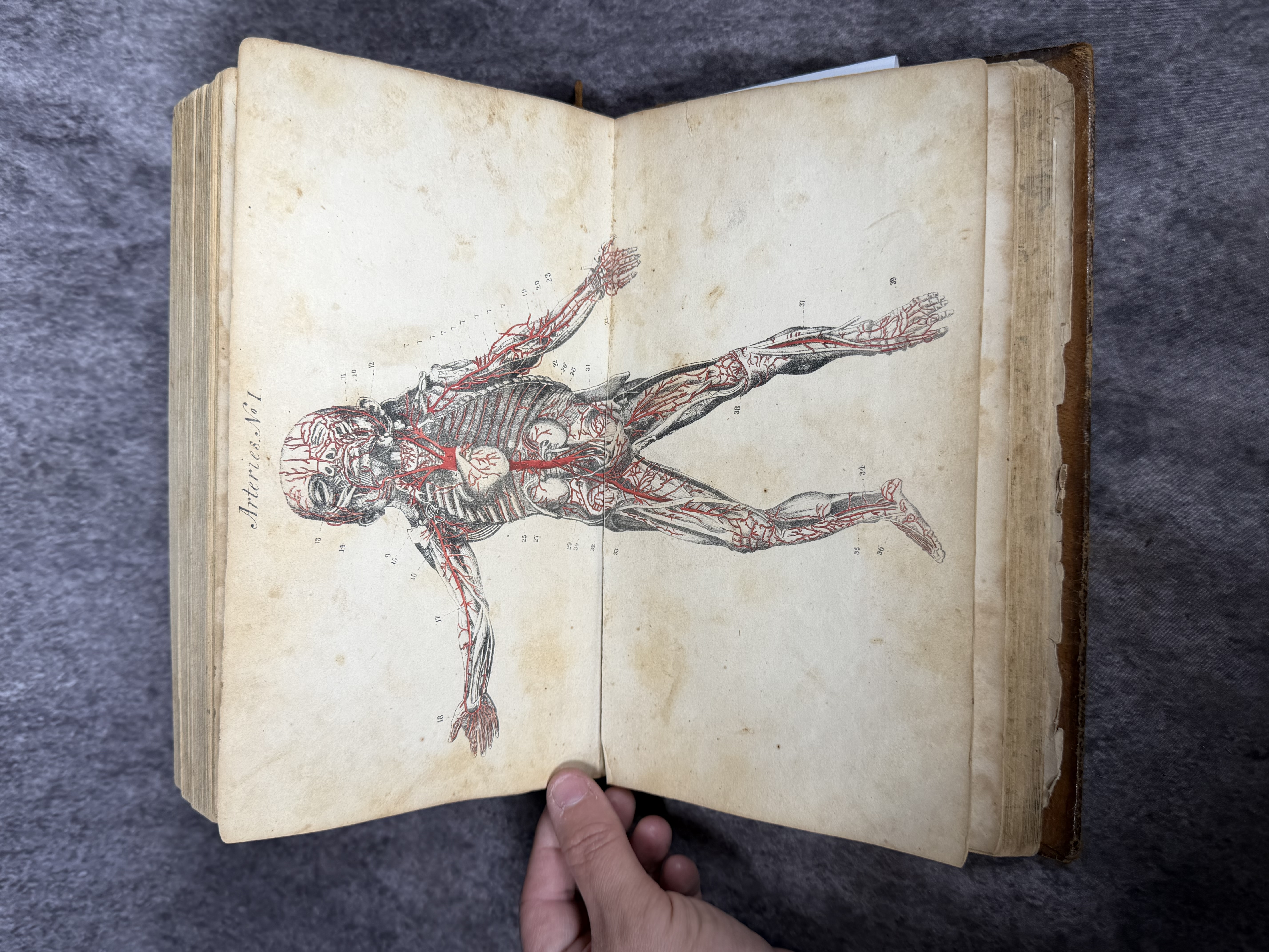 Buchan, William. A Treatise on the Prevention and Cure of Diseases. J. A. James, 1843. Revised Edition.