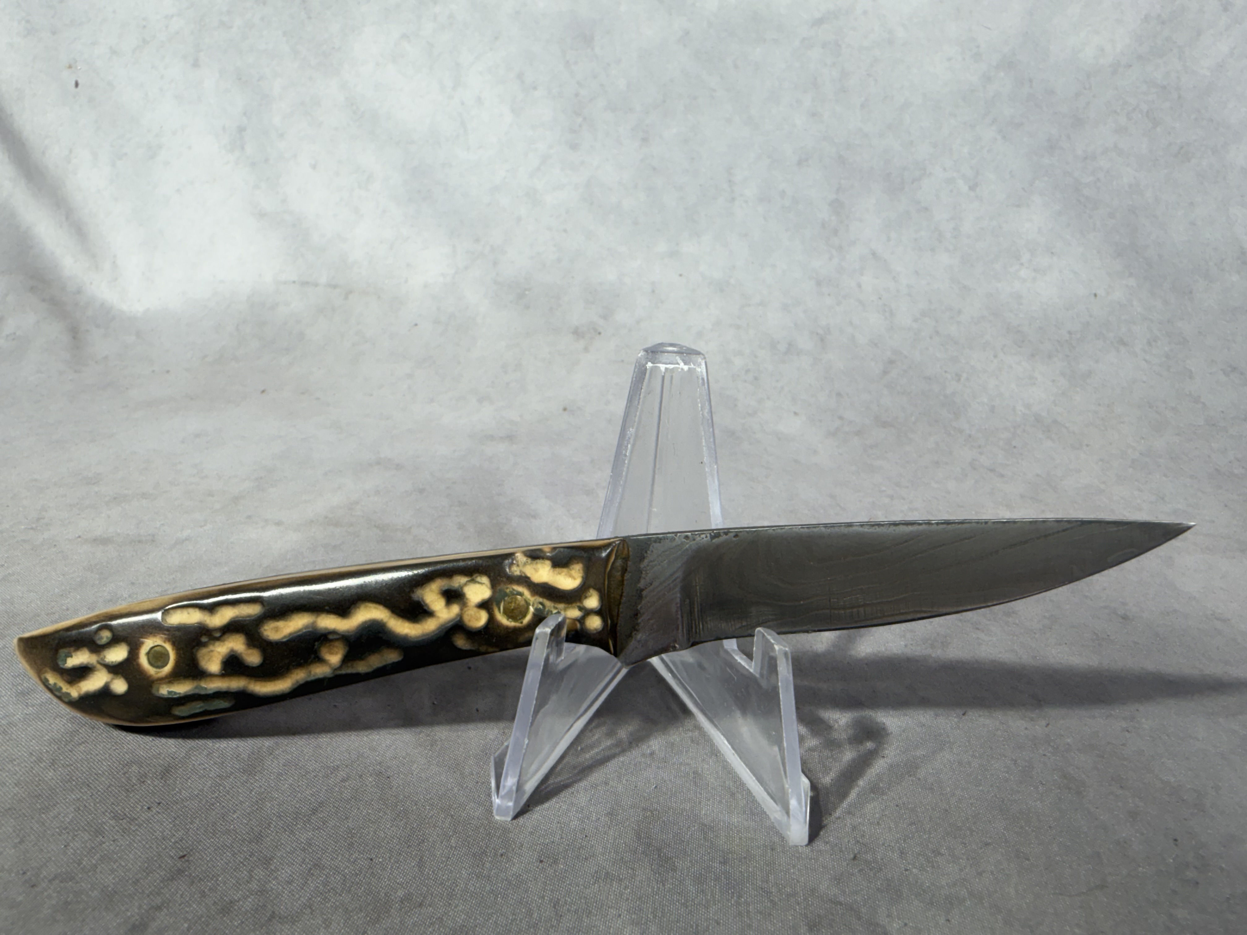 Damascus Steel Fixed Blade Knife with Stag Handle and Leather Sheath