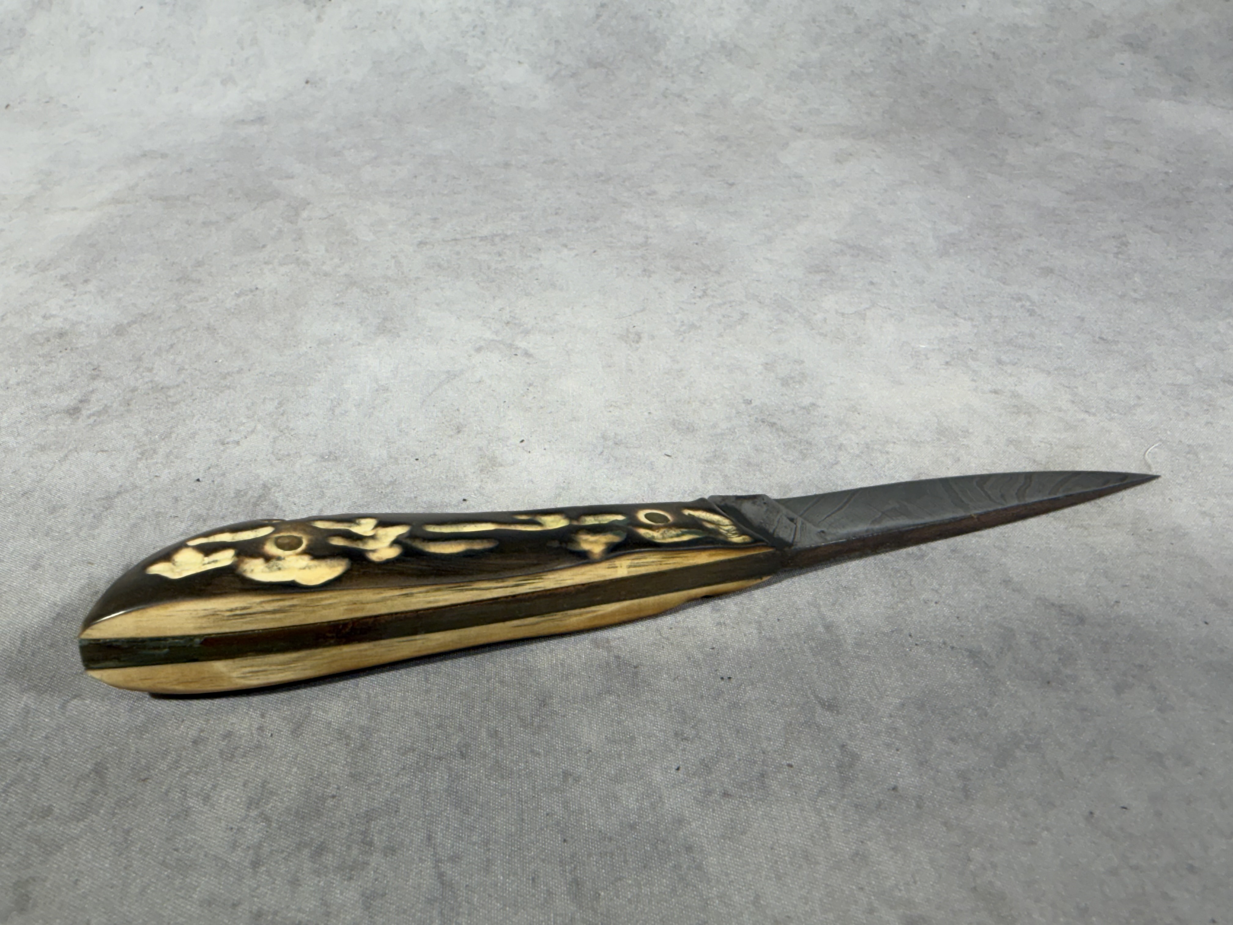 Damascus Steel Fixed Blade Knife with Stag Handle and Leather Sheath
